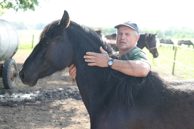 Alvydo Januševičiaus nuotr./Žirgininkas Vidmantas Staškevičius