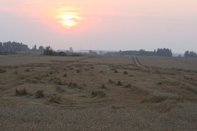 Alvydo Januševičiaus nuotr./Žemdirbiai pradeda pilti šiemetinius aruodus