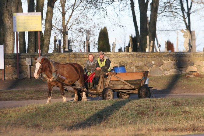 Alvydo Januševičiaus nuotr./Stačiūnai ir apylinkės