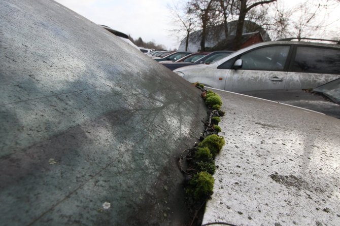 Alvydo Januševičiaus nuotr./Automobilių prekyba Šiauluose ir Radviliškyje