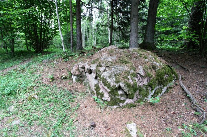 Alvydo Januševičiaus nuotr./Akmenų rūža Tytuvėnų regioniniame parke