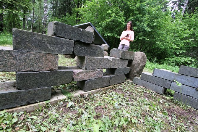 Alvydo Januševičiaus nuotr./Akmenų rūža Tytuvėnų regioniniame parke