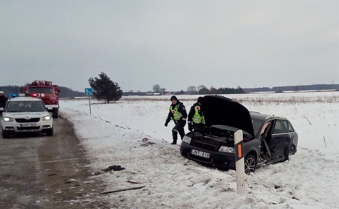 15min.lt nuotr/„Audi“ avarija
