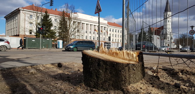 Alvydo Januševičiaus / 15min nuotr./Šiauliai