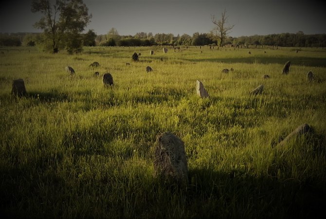 Alvydo Januševičiaus / 15min nuotr./Senosios Joniškio žydų kapinės