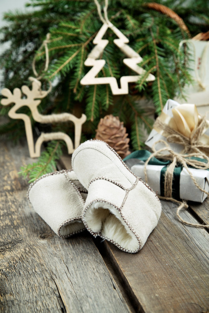 Shutterstock nuotr./Kalėdinė kompozicija.