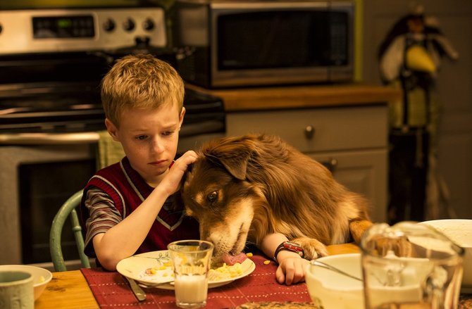 Filmo „Neįtikėtina jaunojo išradėjo kelionė“ kadras 