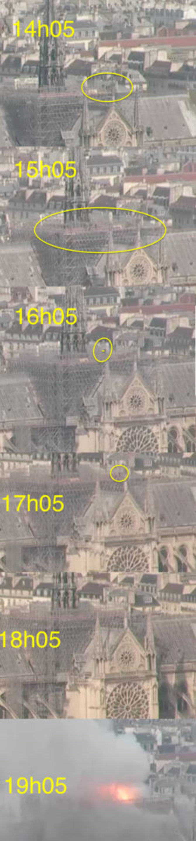 Viewsurf nuotr./Interneto kameros skirtingomis valandomis užfiksuotas Dievo Motinos katedros stogo vaizdas