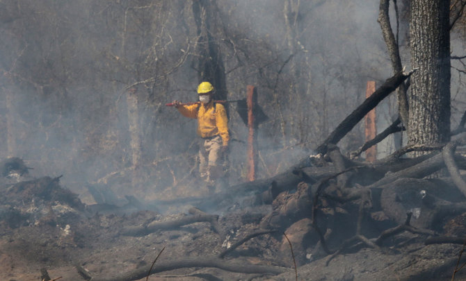 AFP/„Scanpix“ nuotr./Gesinamas miško gaisras