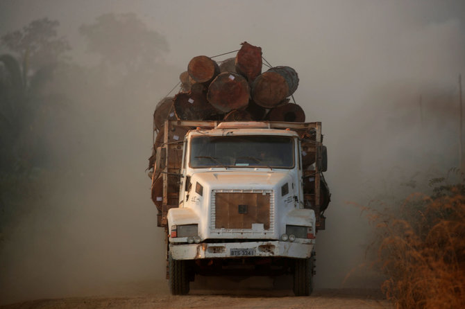 „Reuters“/„Scanpix“ nuotr./Brazilijoje vėl suintensyvėjęs miškų kirtimas