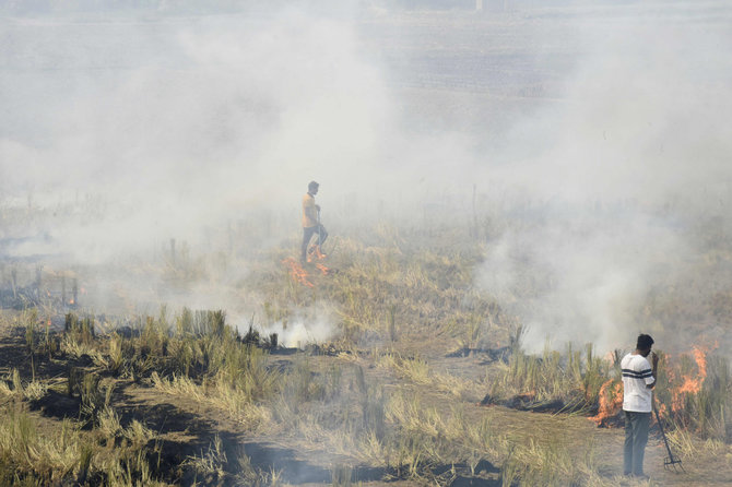 AFP/„Scanpix“ nuotr./Dešimtys Indijos ūkininkų suimti dėl orą teršiančio laukų deginimo