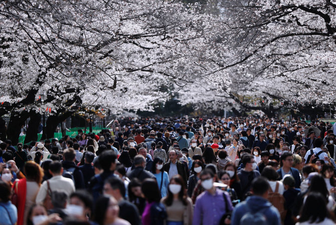„Reuters“/„Scanpix“ nuotr./Japonų minios grožisi žydinčiomis sakuromis