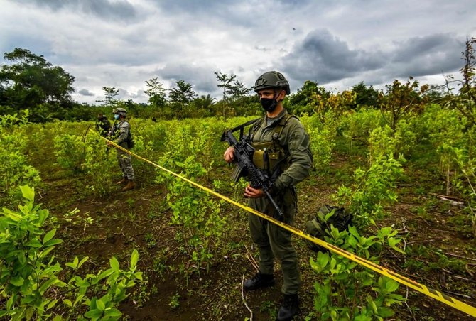 AFP/„Scanpix“ nuotr./Kolumbijos karys per kokainmedžių plantacijos naikinimo operaciją