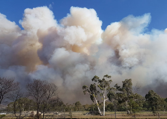 AFP/„Scanpix“ nuotr./Sidnėjaus apylinkėse siaučia didžiulis krūmynų gaisras