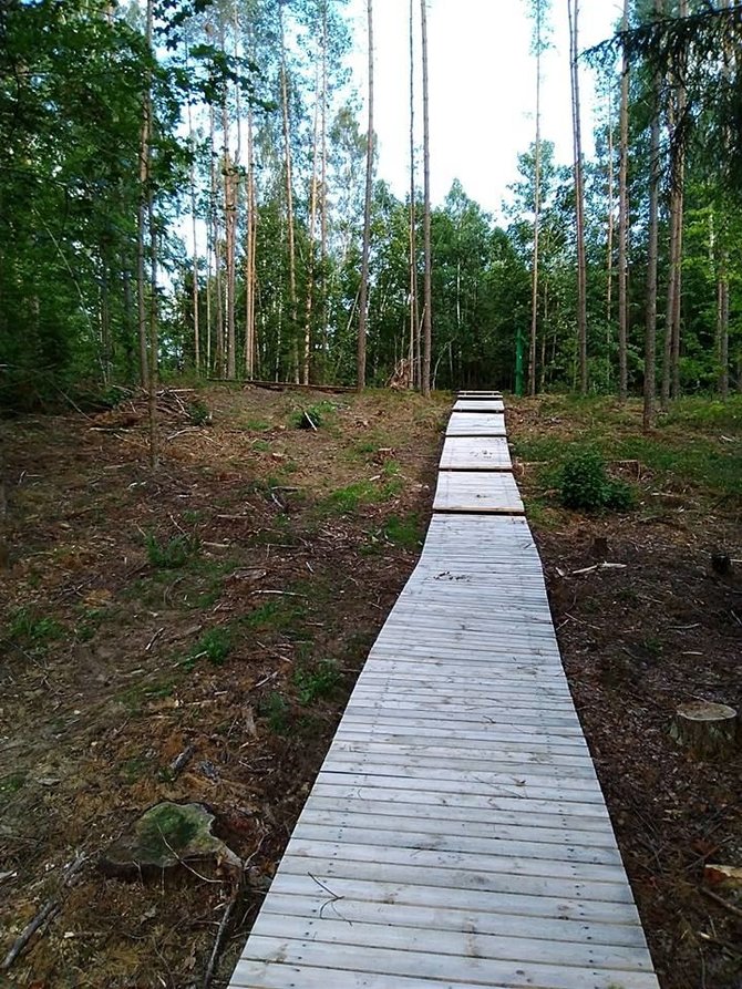 Miško parko medinis takas