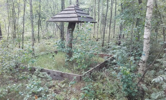 Apleista pavėsinė miško parke Trakų rajone