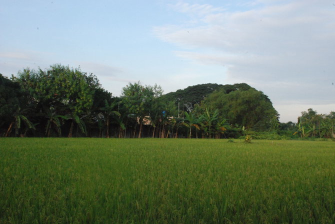 Kaimas Javos saloje, Indonezijoje