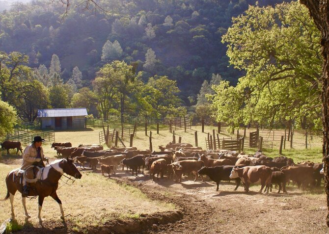 „California Outdoor Properties“ nuotr./Ranča JAV (asociatyvi nuotr.)