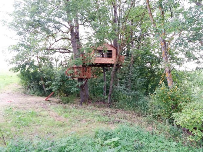 „Namas medyje“ nuotr./Medžiuose įrengti nameliai