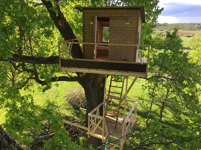 „Namas medyje“ nuotr./Medžiuose įrengti nameliai