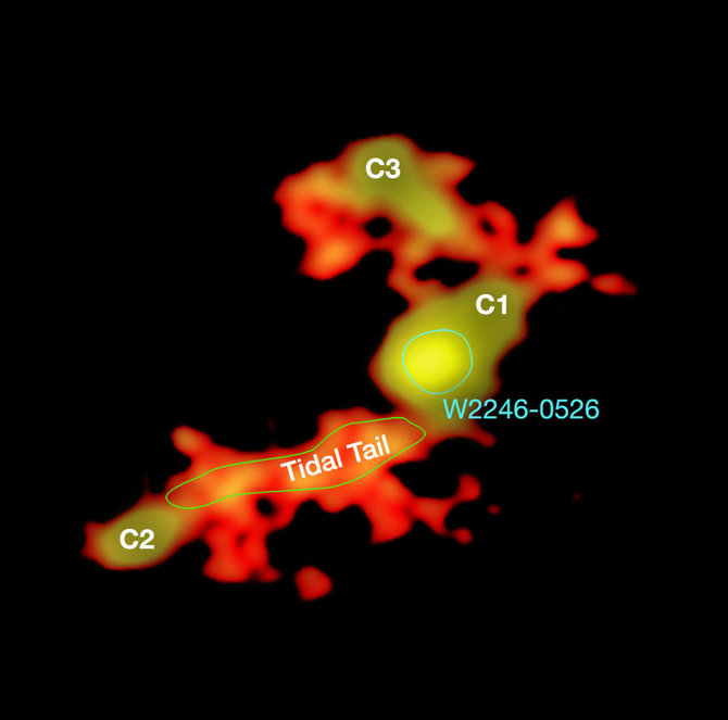 NASA nuotr./Tarpgalaktinis kanibalizmas: centre esanti galaktika W2246-0526 maitinasi savo kaimynėmis C1, C2 ir C3