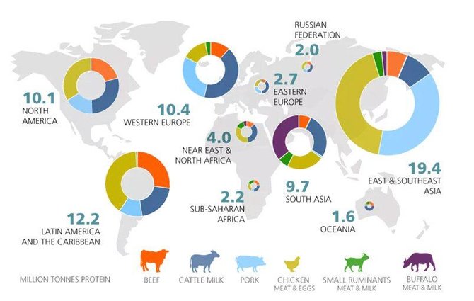 JT Maisto ir žemės ūkio organizacijos iliustr./Gyvulinės kilmės produkcijos gamyba įvairiuose pasaulio regionuose