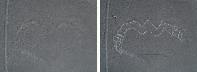 Yamagata universiteto nuotr./Šis geoglifas veikiausiai vaizduoja dvigalvę gyvatę