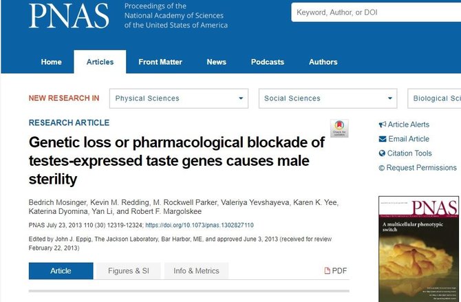 PNAS iliustr./Originalus straipsnis apie skonio receptorius pelių sėklidėse