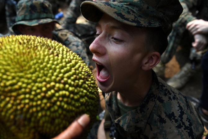 AFP/„Scanpix“ nuotr./Duonmedžio vaisius