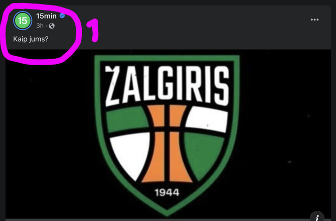 Naujasis „Žalgirio“ logotipas