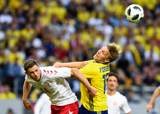 „Scanpix“ nuotr./Švedijos futbolo rinktinės saugas E.Frosbergas.