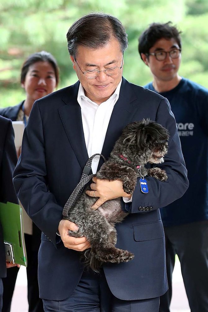 AFP/„Scanpix“ nuotr./Pietų Korėjos prezidentas iš prieglaudos pasiėmė auginti skriaustą šunį