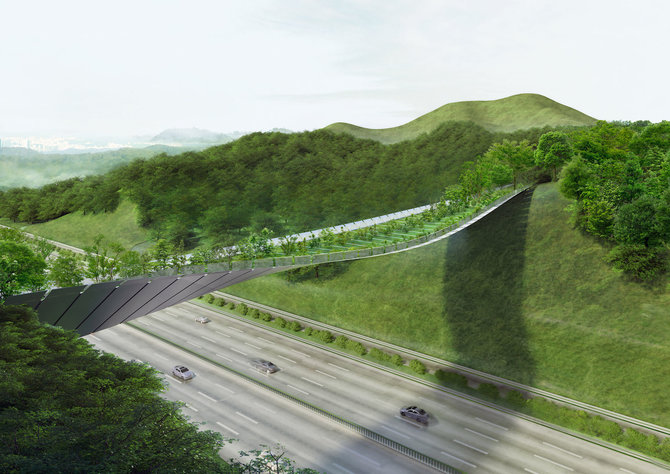 Projekto rengėjų nuotr. /Žaliojo tilto projektas Seule