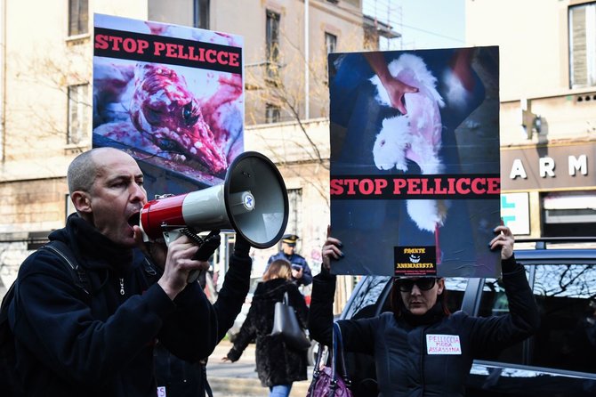 AFP/„Scanpix“ nuotr./„Fronte Animalista“ protesto akcija Milane