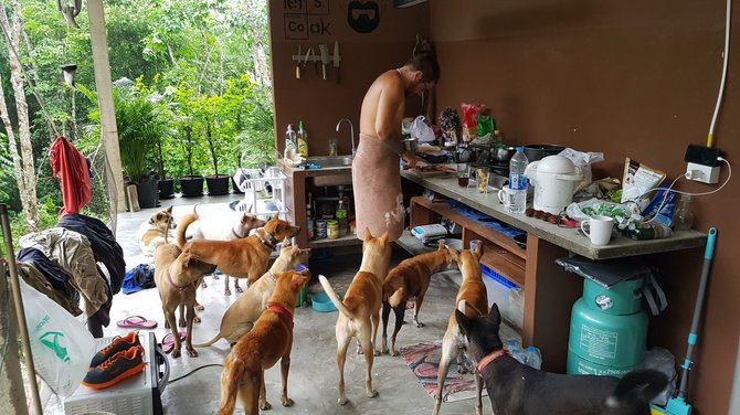 Asmeninio archyvo nuotr./Šunys, kuriais rūpinasi Rasa ir Mantas Tailande 