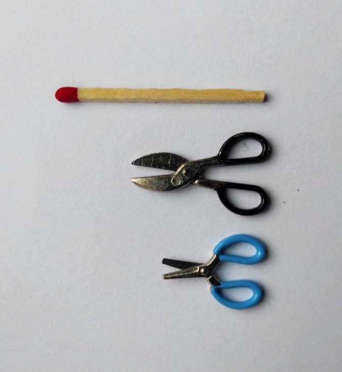 Asmeninio archyvo nuotr./Mažiausios Kęstučio Mėlinio turimos žirklės: 2,2 ir 3 cm