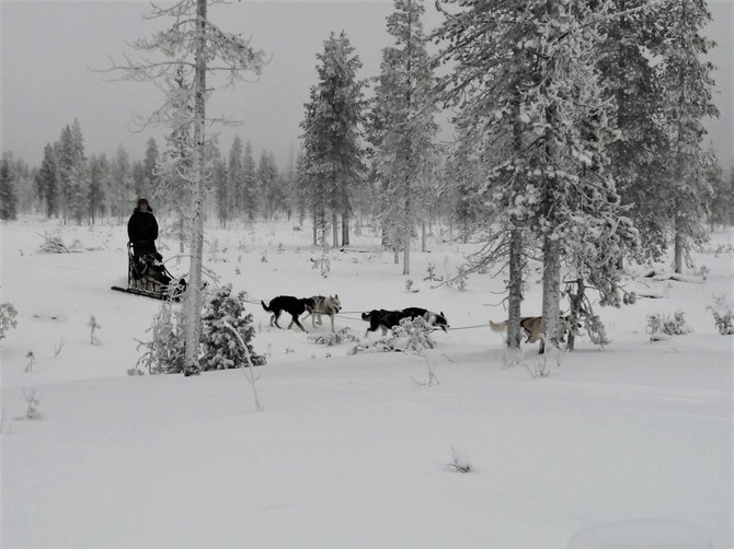 Asmeninio archyvo nuotr./Justina Vaitiekūnaitė Laplandijoje