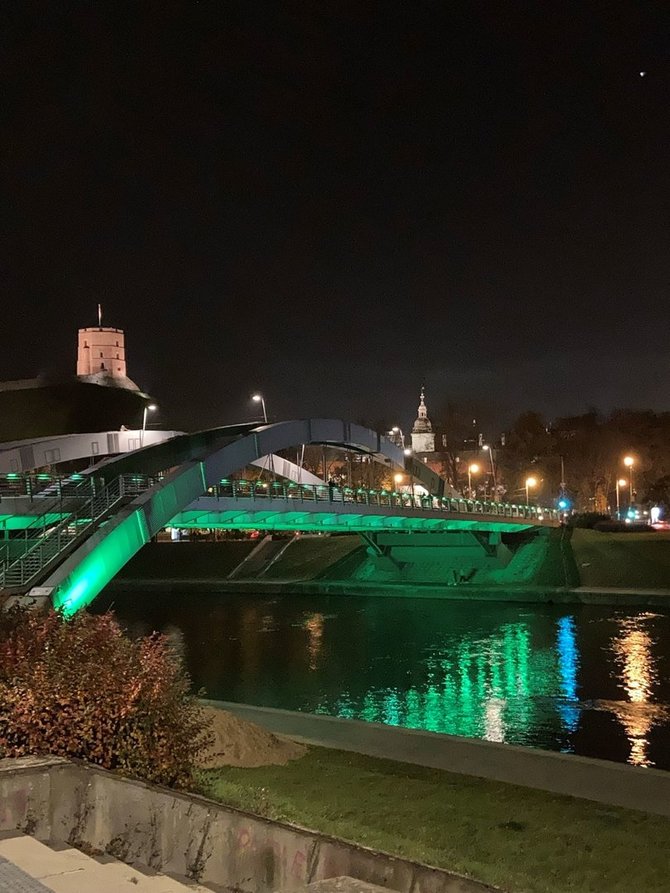 „Žalia šviesa gyvenimui“ nuotr./„Žalia šviesa gyvenimui“: Mindaugo tiltas