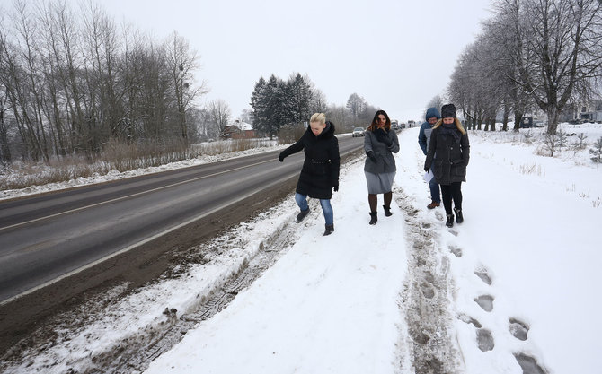 Aliaus Koroliovo / 15min nuotr./Šakių plento kelkraštis