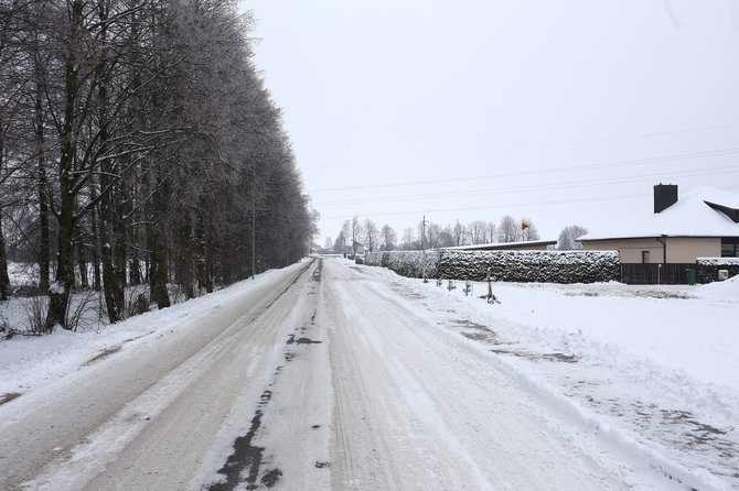 Aliaus Koroliovo / 15min nuotr./Obelynės gatvė ir Seimo pirmininko namas