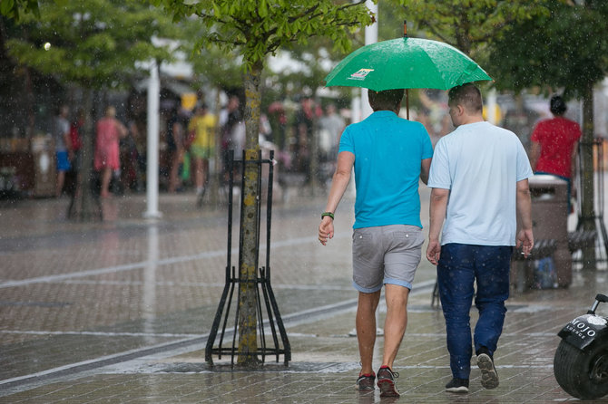 Žygimanto Gedvilos / 15min nuotr./ Gatvėje