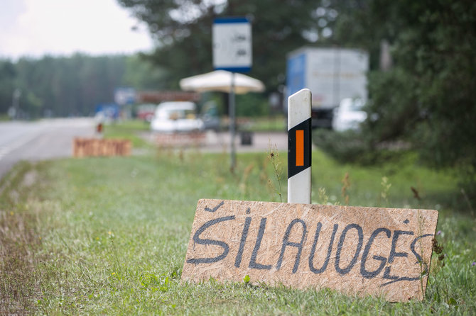 Žygimanto Gedvilos / 15min nuotr./Pakelėse parduodamos miško gėrybės