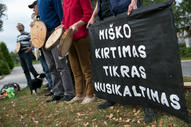 Žygimanto Gedvilos / 15min nuotr./Apsilankymas Labanoro girios kirtimuose