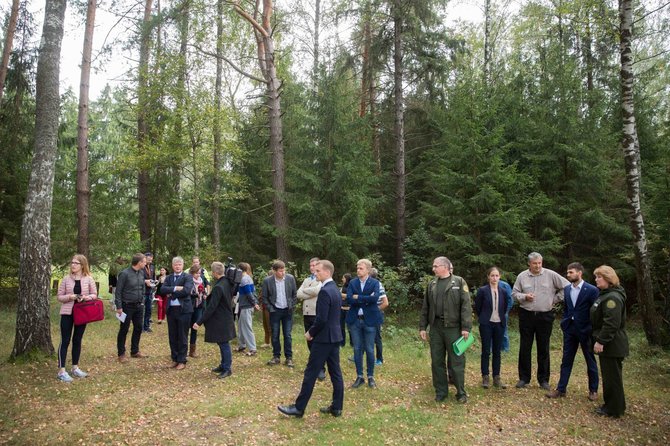 Žygimanto Gedvilos / 15min nuotr./Apsilankymas Labanoro girios kirtimuose