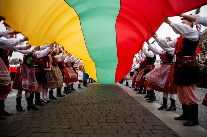 Žygimanto Gedvilos / 15min nuotr./Lietuvos vėliava