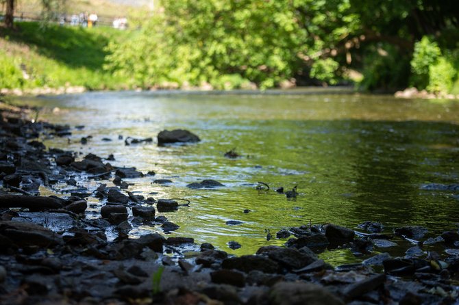 Žygimanto Gedvilos / 15min nuotr./Vilniuje nusekusios Neries ir Vilnios upės