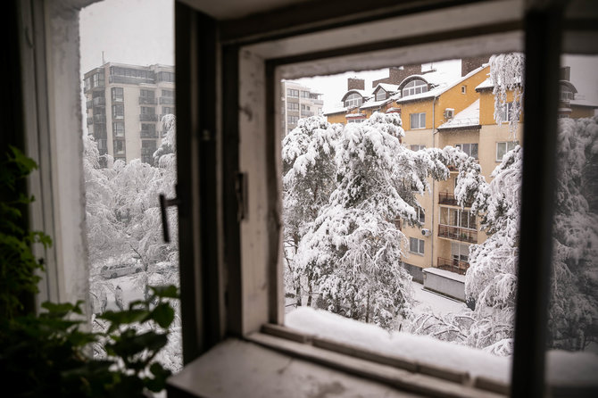 Žygimanto Gedvilos / 15min nuotr./Gausus sniegas slegia medžių šakas