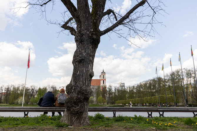 Žygimanto Gedvilos / BNS nuotr./Lukiškių aikštėje 