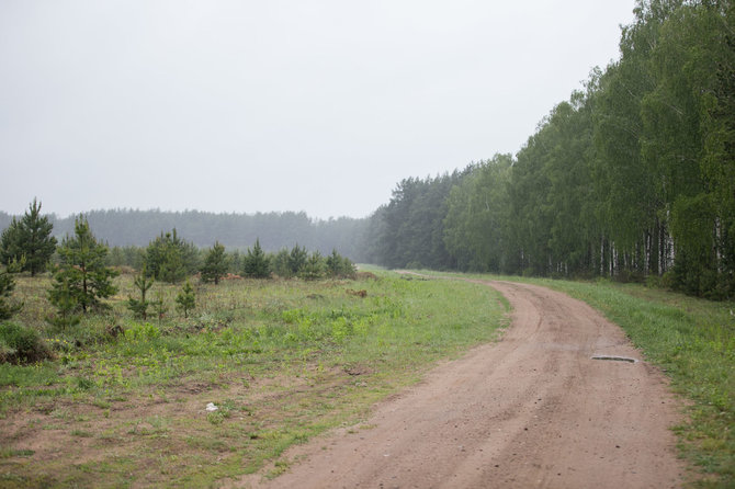 Žygimanto Gedvilos / 15min nuotr./Skundas dėl neteisėto kelio