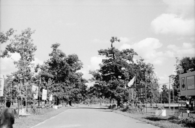 „Promo Service“ nuotr./Vytauto parko alėja, 1961 m